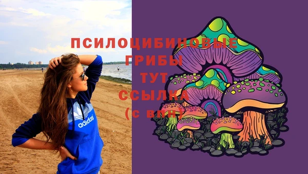 ALPHA PVP Зеленодольск