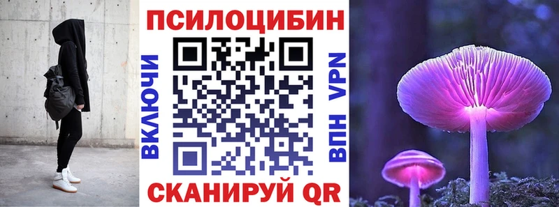 Купить закладки  Всеволожск  Галлюциногенные грибы мицелий 